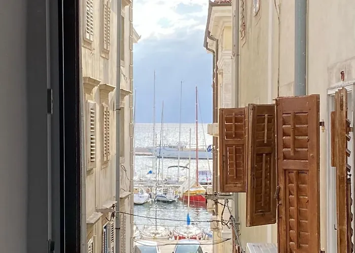 Reginamare Vela